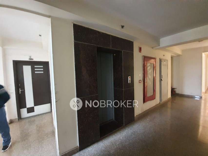 3 BHK Flat In Gaur City 2 14th Avenue, Sector 16c For Sale  In Sector 16c