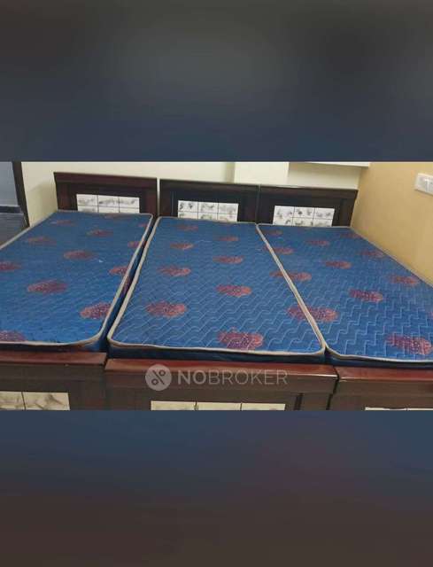 PG for Boys in Hitec City