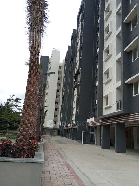 3 BHK Flat In Sattva Bliss For Sale  In Budigere Cross