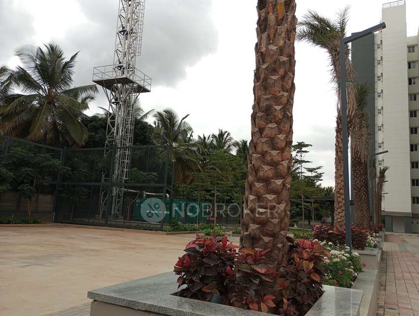 3 BHK Flat In Sattva Bliss For Sale  In Budigere Cross