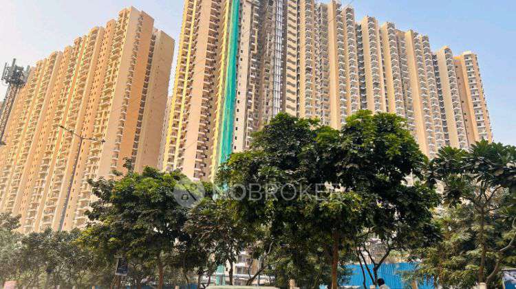 3 BHK Flat In Amrapali Varona Height For Sale  In Verona Heights