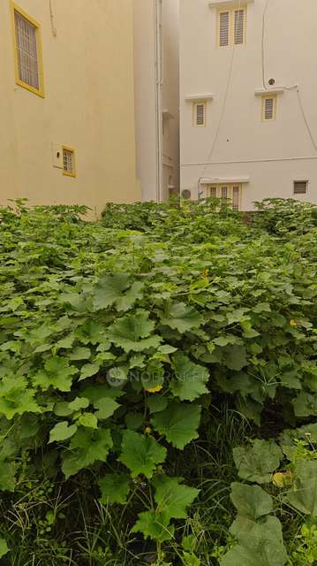 Plot For Sale  In Valasaravakkam