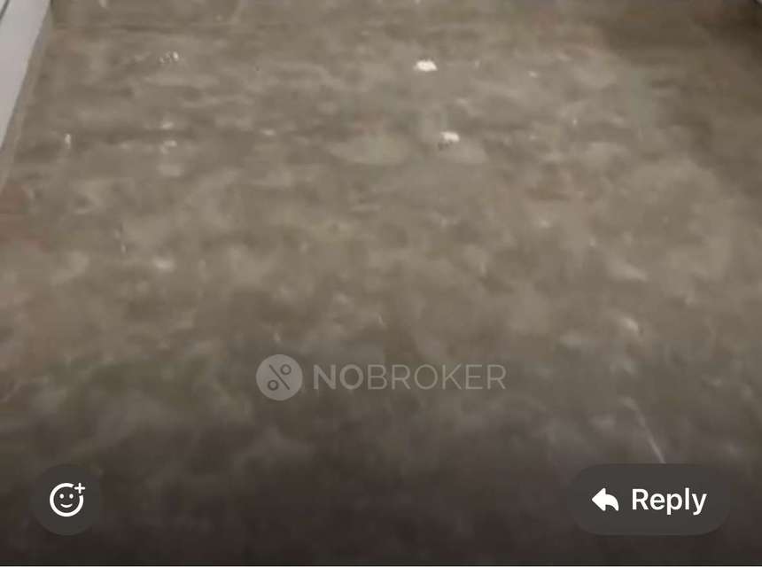 4+ BHK Flat For Sale  In Model Town