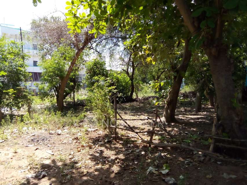 Plot For Sale  In Cuddalore Bus Bay