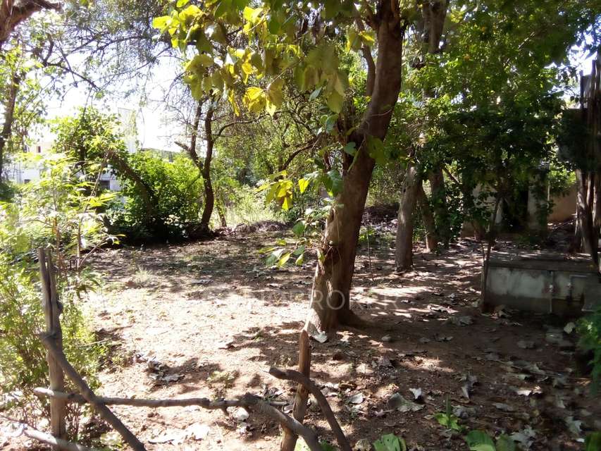 Plot For Sale  In Cuddalore Bus Bay