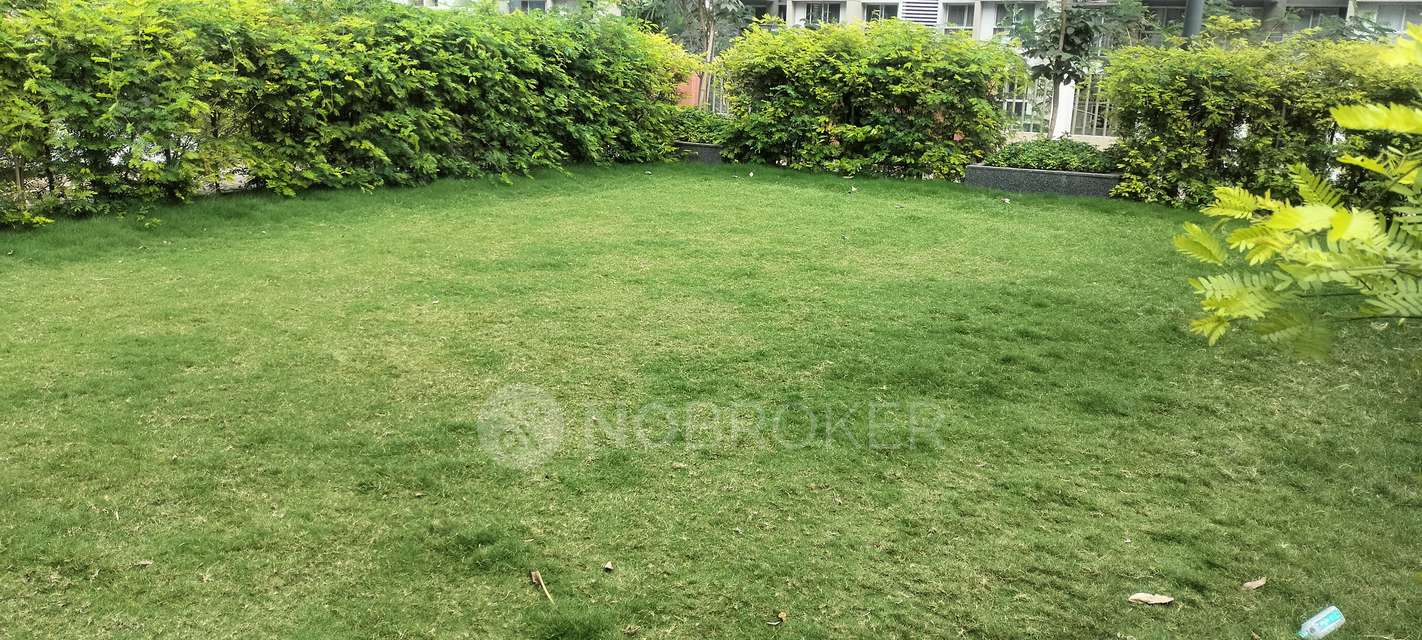 3 BHK Flat In Park Astra for Rent  In Hinjewadi