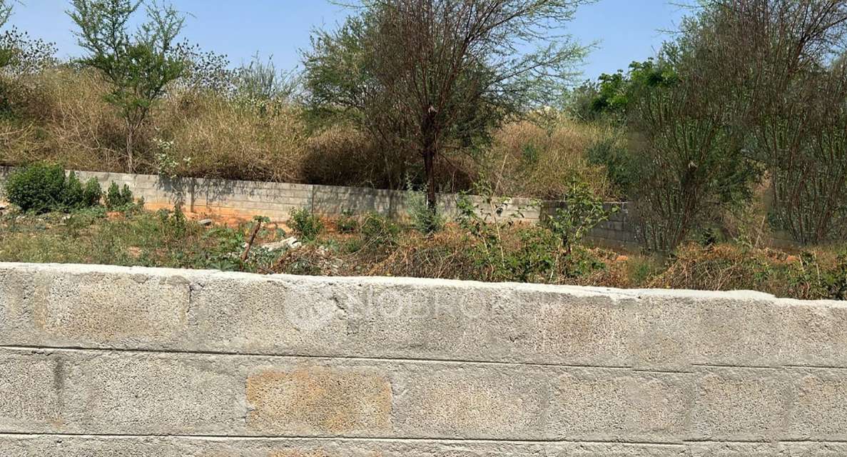 Plot For Sale  In Dasarahalli