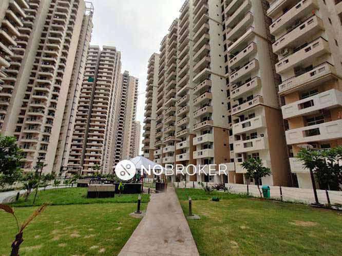 1 BHK Flat In 14th Ave For Sale  In Gaur City 1