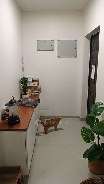 3 BHK Flat In Shoba Mozaria Grandeur For Sale  In Dairy Circle Bus Stop