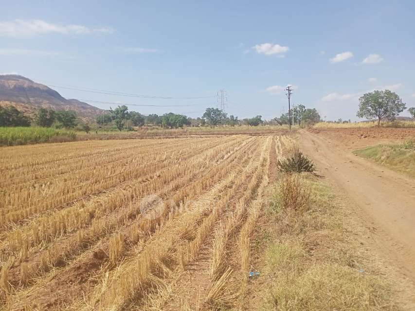 Plot For Sale  In Third Mahamumbai Plot In Cbd Belapur