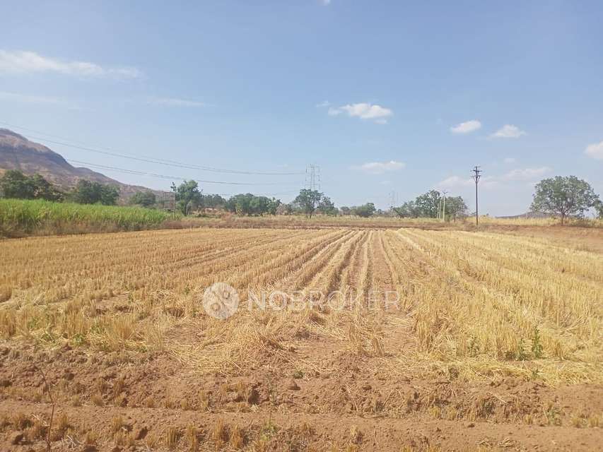 Plot For Sale  In Third Mahamumbai Plot In Cbd Belapur