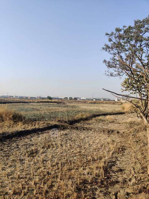 Plot For Sale  In Third Mahamumbai Plot In Cbd Belapur