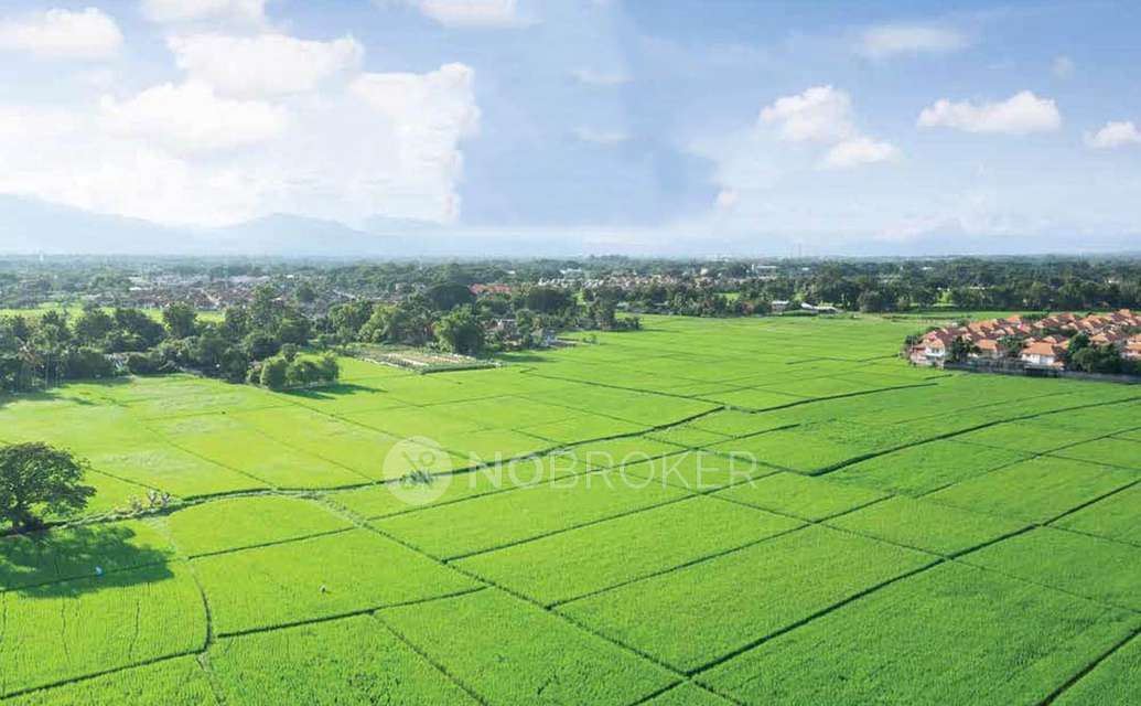 Plot For Sale  In Tata Ragaam In Shettigere