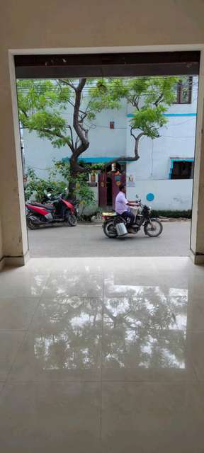Retail  Property in Palavakkam, Chennai for Rent 