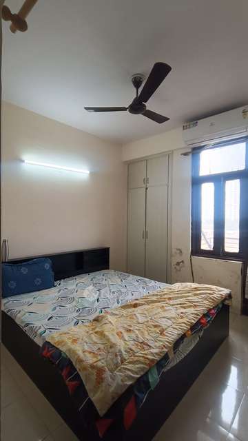 3 BHK Flat In Tulip Orange for Rent  In Sector 71