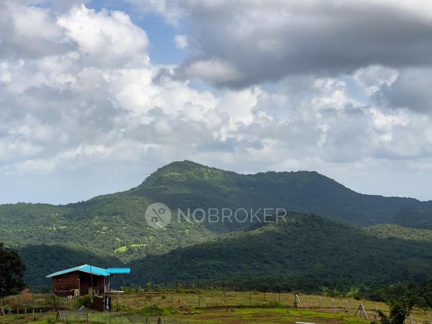 Plot For Sale  In Mandangad,pimpalgoan