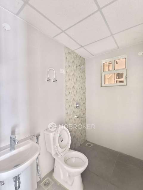 3 BHK Flat In Signature Global City  For Sale  In Sector 37d