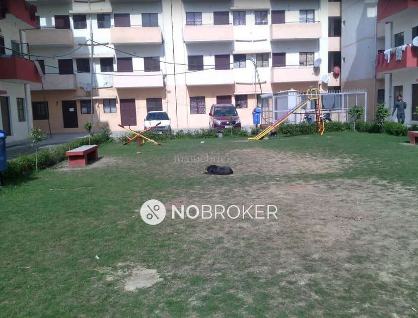 1 BHK Flat In Land Craft  for Rent  In Pilkhuwa