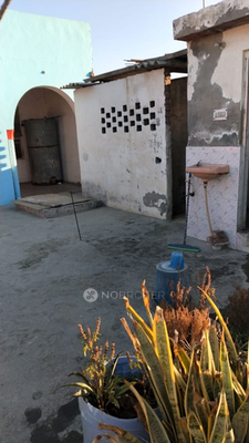 2 BHK Flat In Standalone Building  for Rent  In Sector 52, 