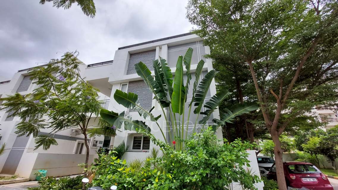 3 BHK Villa In Divino Villas for Rent  In Gopanapalli Thanda