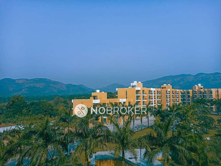 1 BHK Flat In Vbhc Greendew For Sale  In Palghar