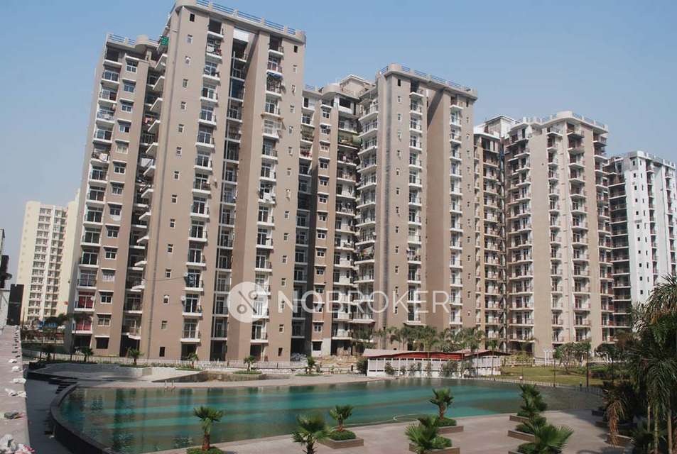 3 BHK Flat In Amrapali Zodiac, Sector-120 For Sale  In Sector-120