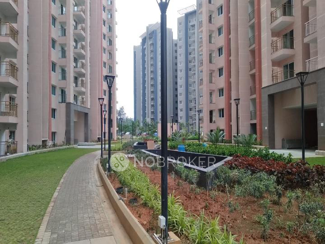 Brigade Lakefront Whitefield Rent WITHOUT BROKERAGE Semifurnished 2 BHK Rental Flat in