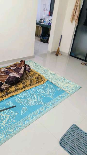 1 BHK Flat In B M Residency For Sale  In Narhe