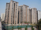 2 BHK Flat For Sale In Amrapali Zodiac In Sector-120