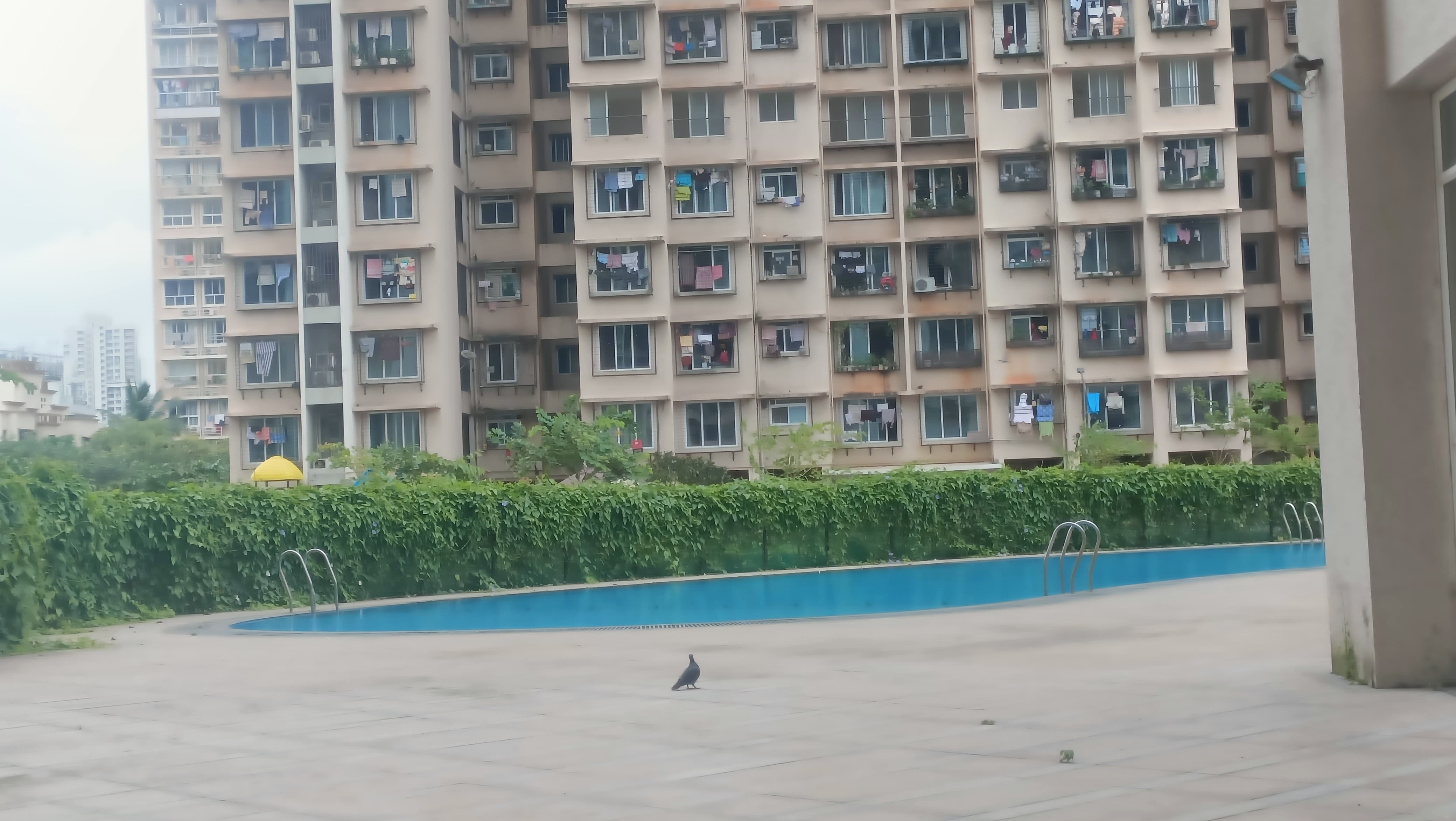 DSS Mahavir Universe Phoenix