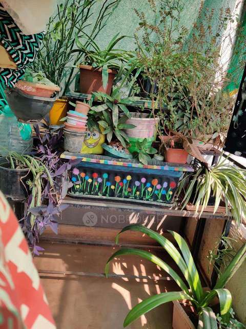 2 BHK Flat In Vastushree Adrina Phase Ii for Rent  In Mundhwa