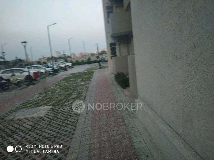 1 BHK Flat In Signature Global Solera 2 for Rent  In Sector 107