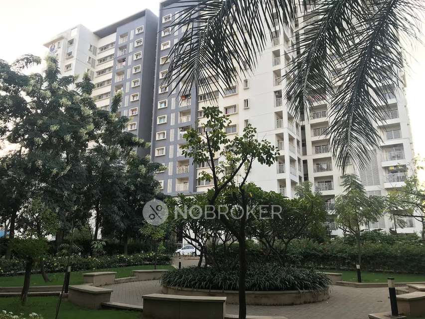 3 BHK Flat In Prestige Park View , Whitefield for Rent  In Tower-1, 1121, Whitefield Main Rd, Kadugodi Colony, Kadugodi, Bengaluru, Karnataka 560066, India