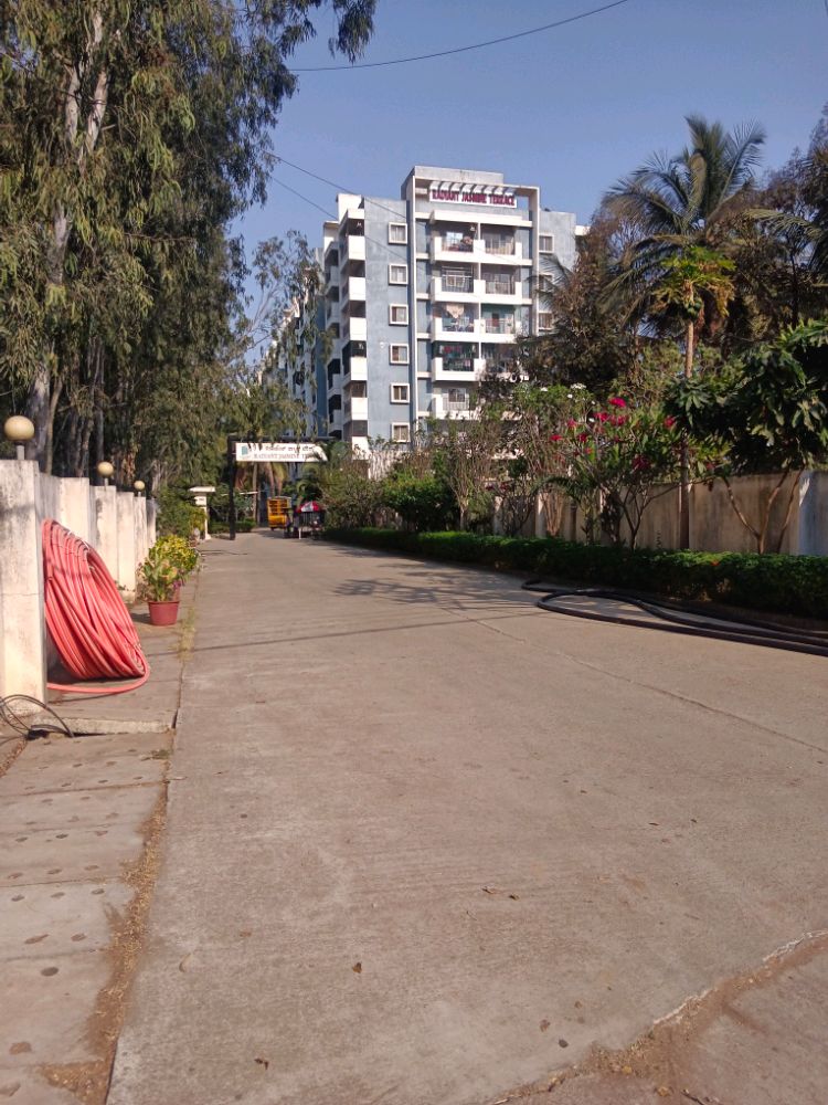 Radiant Jasmine Terrace