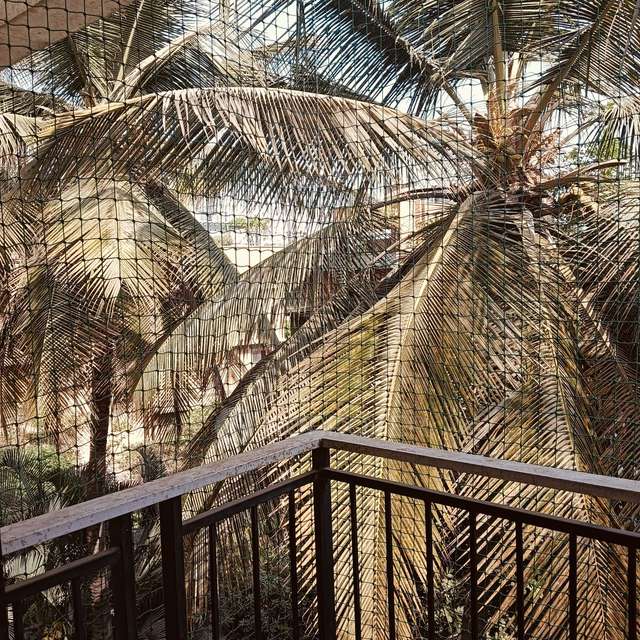 3 BHK Flat In Mv Periwinkle  For Sale  In Rachenahalli