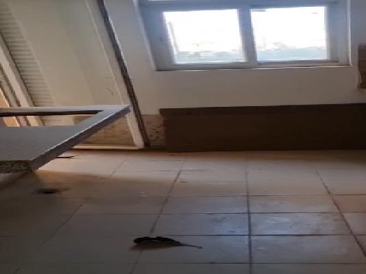 3 BHK Flat In Greenopolis For Sale  In  Sector 89