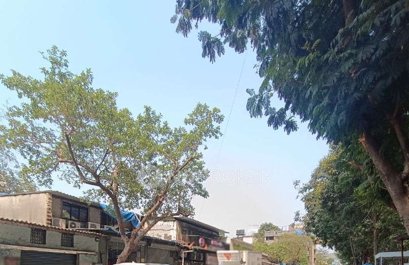 1 BHK Flat In Lodha Casa Essenza For Sale  In Dahisar East