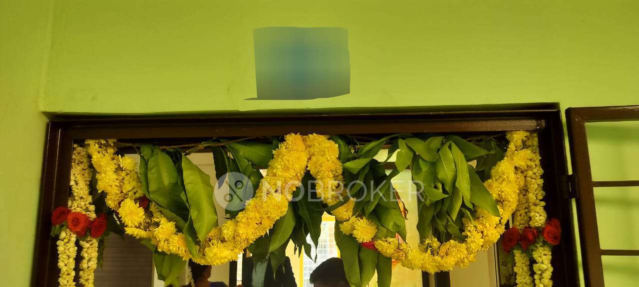 3 BHK Flat In Kubera Enclave Coconut Garden  for Rent  In Krishnarajapura
