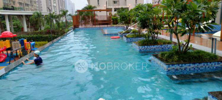 1 BHK Flat In Vtp Leonara for Rent  In Mahalunge