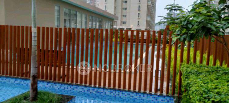 1 BHK Flat In Vtp Leonara for Rent  In Mahalunge