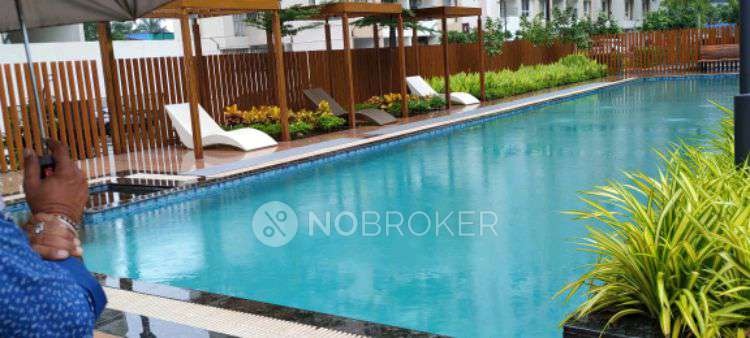 1 BHK Flat In Vtp Leonara for Rent  In Mahalunge