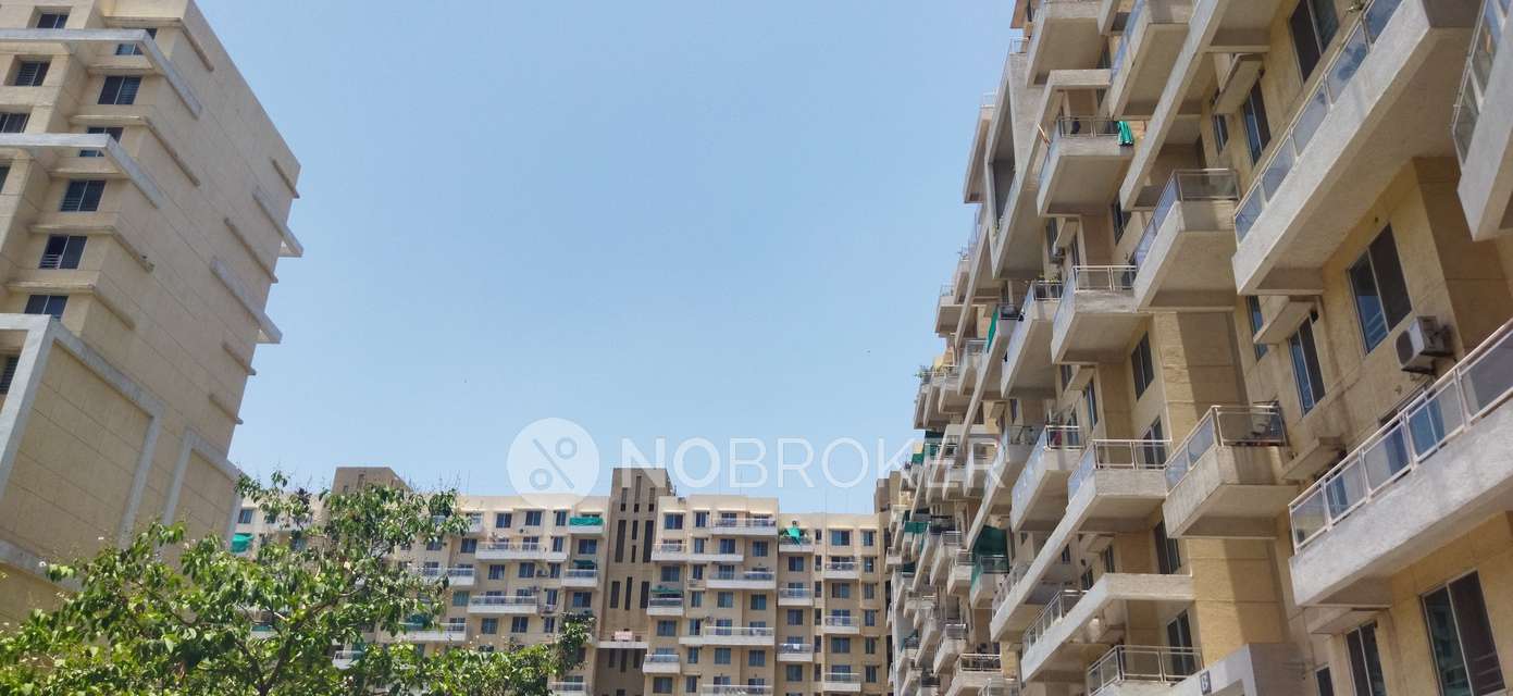 3 BHK Flat In Konark Orchid for Rent  In Wagholi