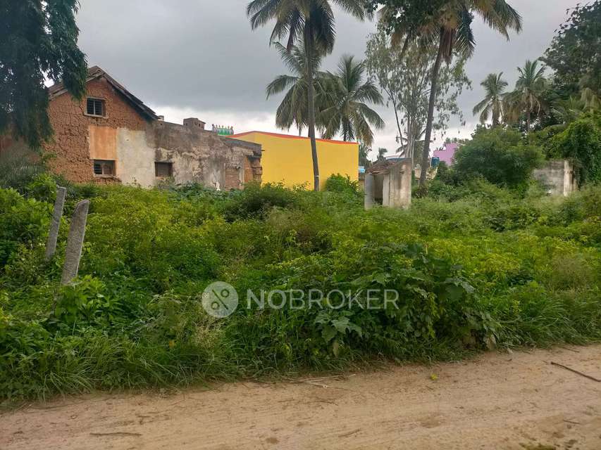 Plot For Sale  In Ramohalli