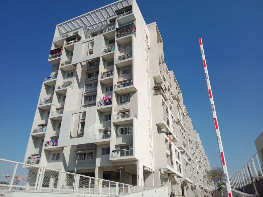 1 BHK Flat In Rohan Ananta  for Rent  In Tathawade