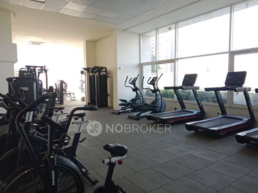 1 BHK Flat In Rohan Ananta  for Rent  In Tathawade