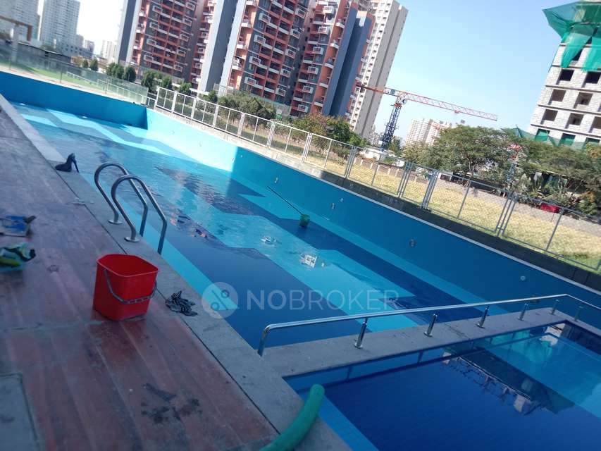 1 BHK Flat In Rohan Ananta  for Rent  In Tathawade