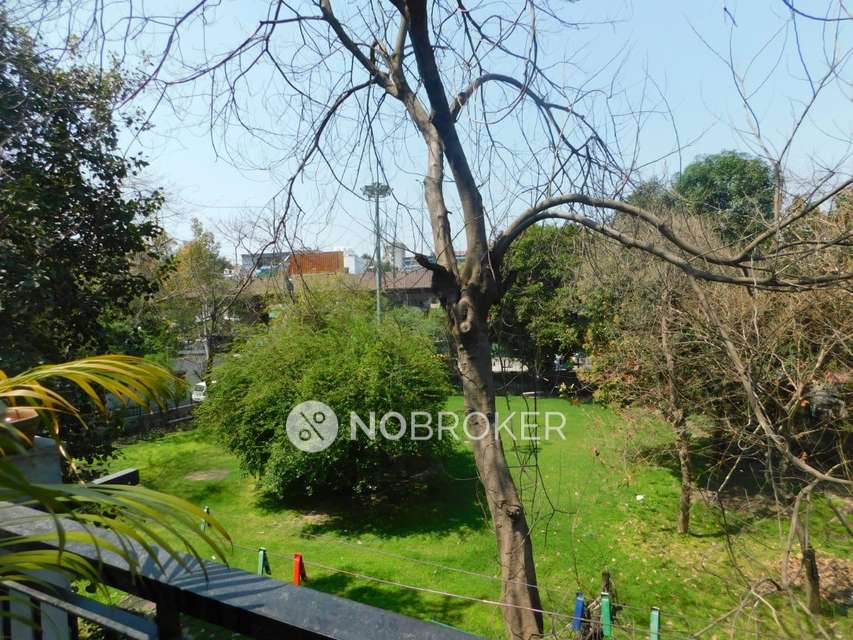 3 BHK Flat In Standalone Building  For Sale  In Uttari Pitampura