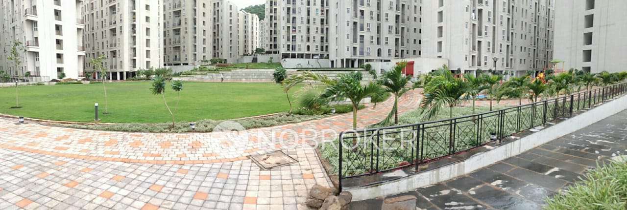 1 BHK Flat In Xrbia Hinjawadi for Rent  In Nerhe