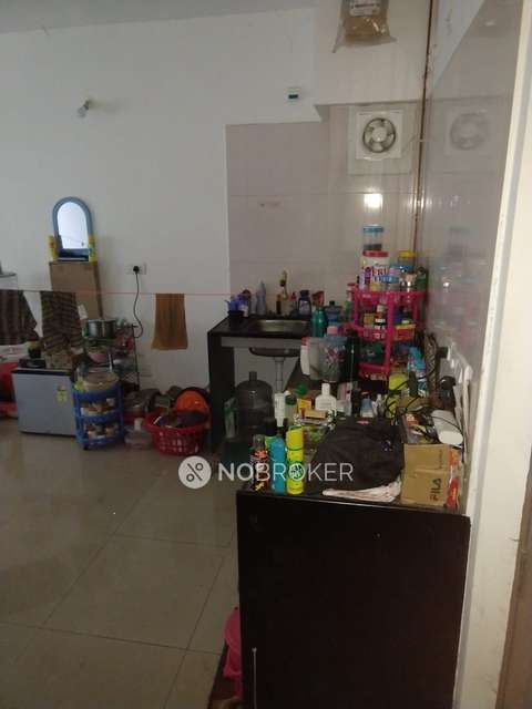 1 BHK Flat In Blue Ridge - Paranjpe Schemes for Rent  In Hinjawadi