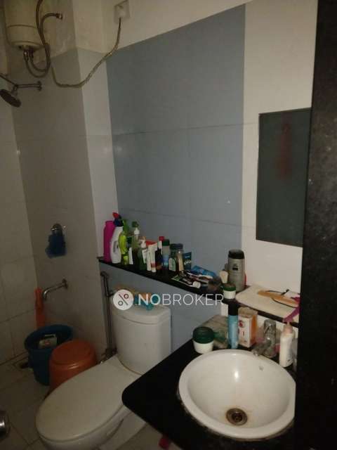 1 BHK Flat In Blue Ridge - Paranjpe Schemes for Rent  In Hinjawadi